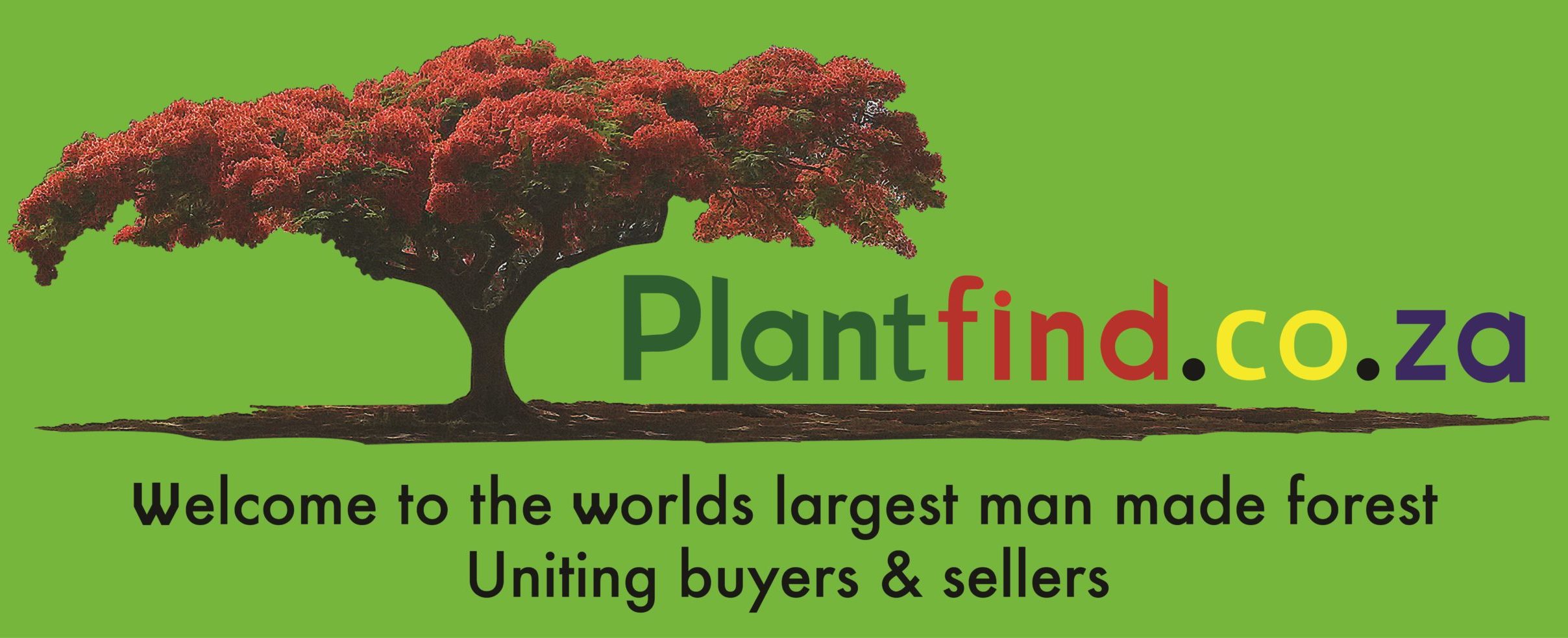 Plantfind.co.za